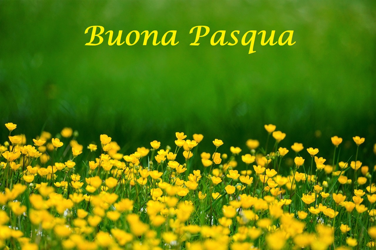 Buona Pasqua a tutti!